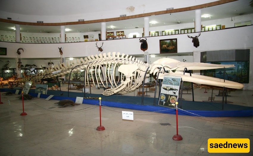 Shiraz Natural History and Technology Museum