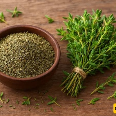 Thyme vs. Oregano: Differences in Flavor, Aroma, and Uses