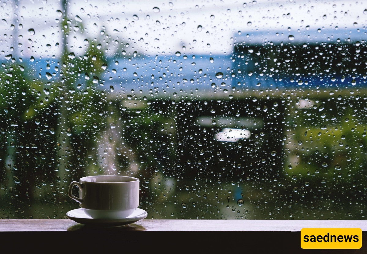 Rain