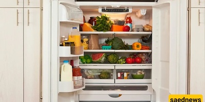 What Should You Do With Refrigerated Food Before Leaving Home for Several Days?