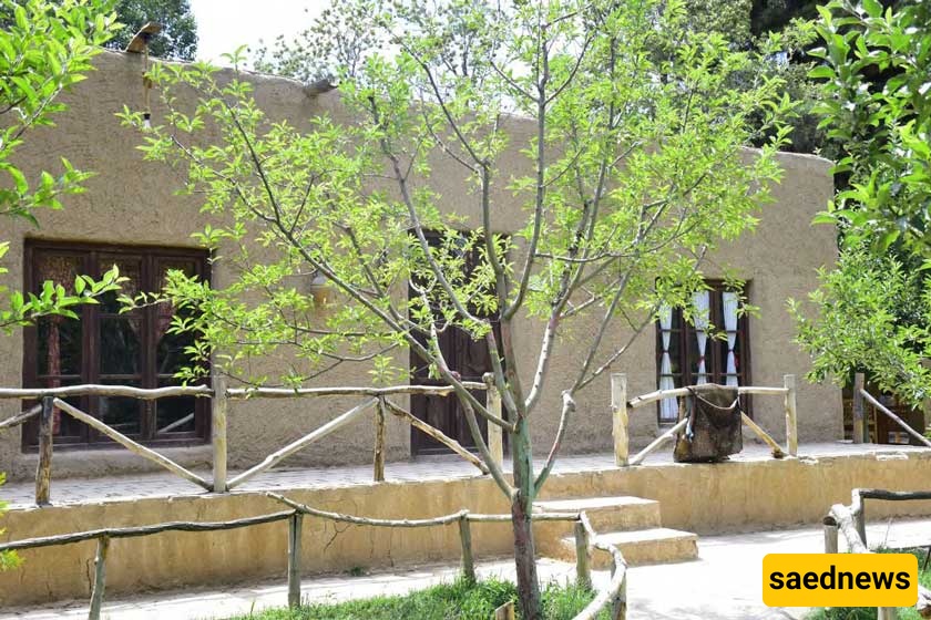 Mashhadd Garden