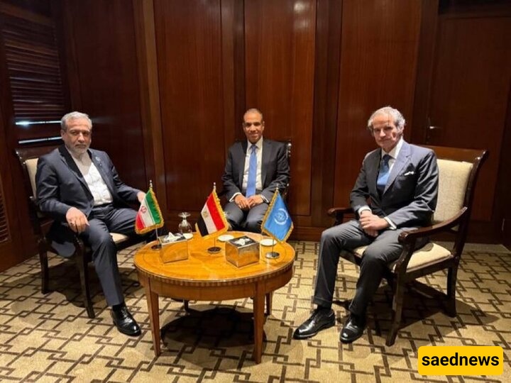 Egypt FM Holds Mediation Talks Between Iran, IAEA
