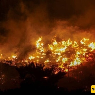 Hotels, Homes Evacuated on Greek Island of Crete As Wildfire Burns Out of Control