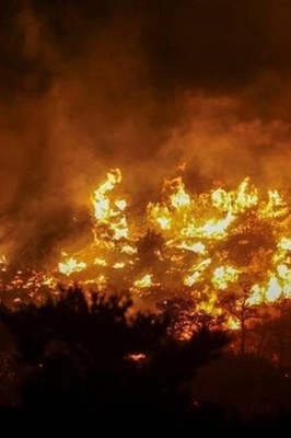 Hotels, Homes Evacuated on Greek Island of Crete As Wildfire Burns Out of Control