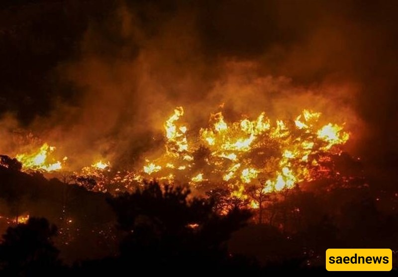 Hotels, Homes Evacuated on Greek Island of Crete As Wildfire Burns Out of Control