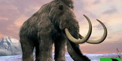 Stunning Discovery of a 50,000-Year-Old Baby Mammoth in the ‘Gates of Hell’ Reveals Ice Age Secrets — Video