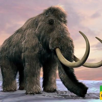 Stunning Discovery of a 50,000-Year-Old Baby Mammoth in the ‘Gates of Hell’ Reveals Ice Age Secrets — Video