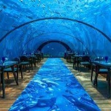 We Recommend the Underwater Dream Experience on Our Maldives Tour