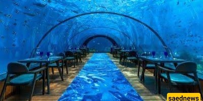 We Recommend the Underwater Dream Experience on Our Maldives Tour