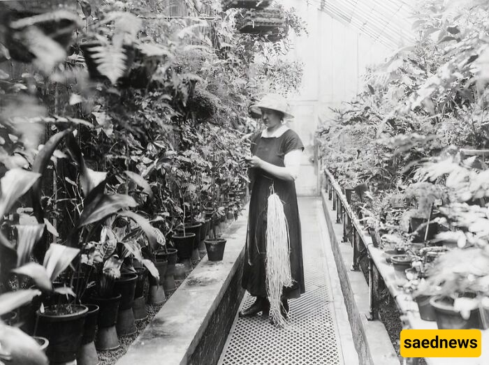 Women During WWI