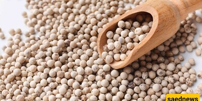 The Incredible Health Benefits of White Pepper for a Healthier Body