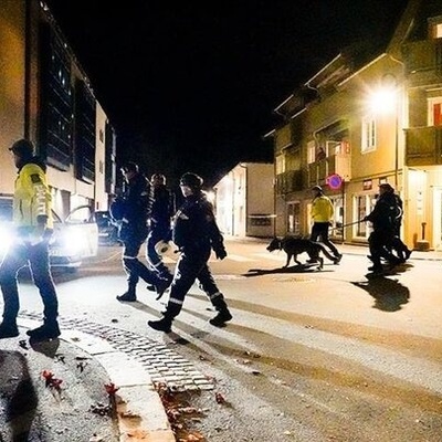 Oslo Shopping Center Shooting: Suspect in Custody