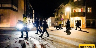 Oslo Shopping Center Shooting: Suspect in Custody