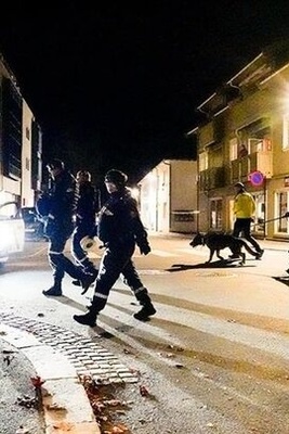 Oslo Shopping Center Shooting: Suspect in Custody