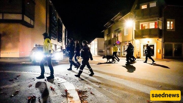 Oslo Shopping Center Shooting: Suspect in Custody