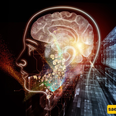 How Successful Minds Remove Unimportant Information