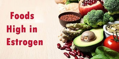 Foods Containing Estrogen: Which Foods Have Estrogen?