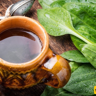 How to Prepare a Delicious Plantain Herbal Tea