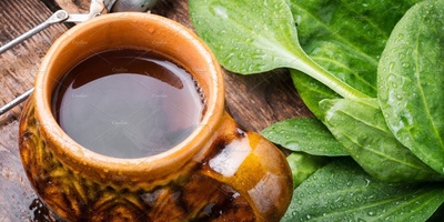 How to Prepare a Delicious Plantain Herbal Tea