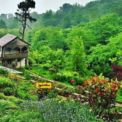 Why Is the Batumi Botanical Garden One of Georgia’s Most Beautiful Attractions? Everything You Need to Know Before Visiting
