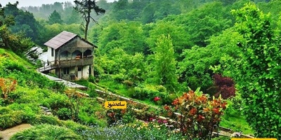 Why Is the Batumi Botanical Garden One of Georgia’s Most Beautiful Attractions? Everything You Need to Know Before Visiting