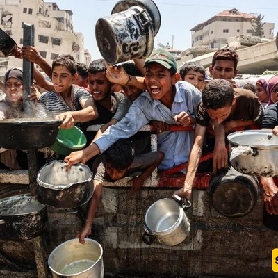 Fruitless Support for Palestine