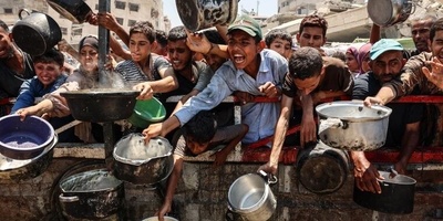 Fruitless Support for Palestine