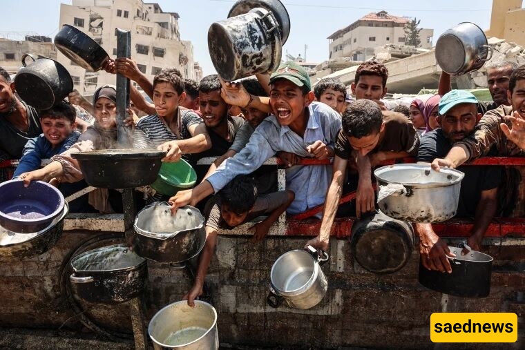 Fruitless Support for Palestine