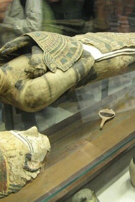 Stunning Discovery of the Oldest Mummy in the World, 8,000 Years Old + Photos.