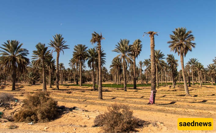 Kebili, Tunisia