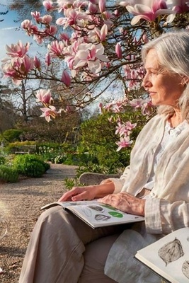 Skin Aging: From Epidermal Thinning to Reduced Regenerative Capacity