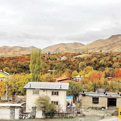 Autumn Tourism: A Stunning Video of the Golden Fall in Northern Lavasan