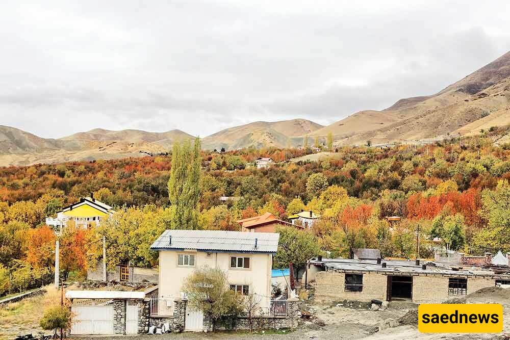 Autumn Tourism: A Stunning Video of the Golden Fall in Northern Lavasan