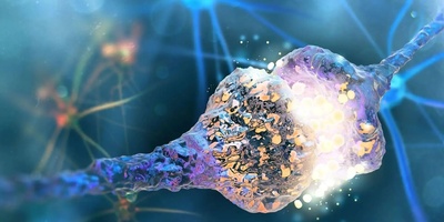 Discovery of the Brain’s Flexibility Switch: A Chemical That Determines Whether You Keep a Bad Habit or Break It