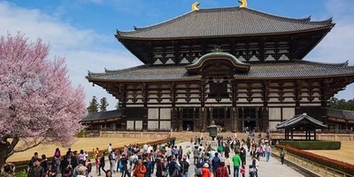 Nara Park: Japan’s Sacred Sanctuary of Free-Roaming Deer