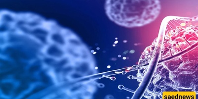New Cancer Drug Revives Hope; Effective in Less Than One Week