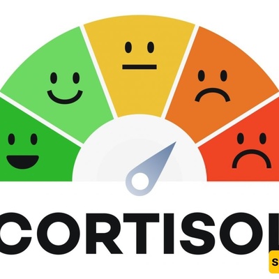 High Cortisol: Symptoms, Diagnosis, Causes, and Effective Treatment Options