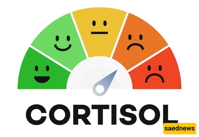 High Cortisol: Symptoms, Diagnosis, Causes, and Effective Treatment Options