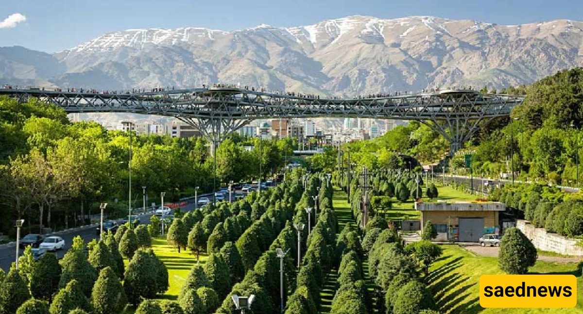 Tabiat Bridge