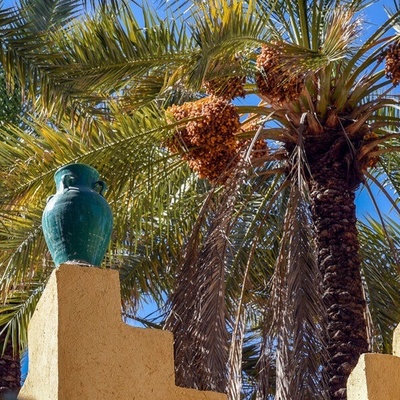 Dayrestan Village on Qeshm Island Celebrates Second Agricultural Nowruz Festival