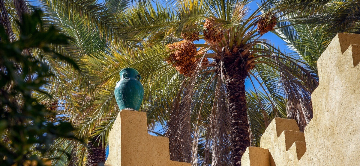 Dayrestan Village on Qeshm Island Celebrates Second Agricultural Nowruz Festival