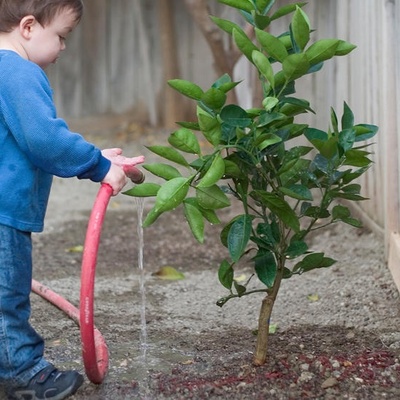 Behaviors That Help Children Become More Responsible