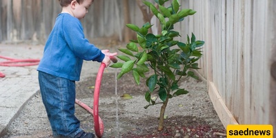 Behaviors That Help Children Become More Responsible