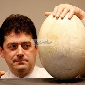 Archaeological Wonder: 1,700-Year-Old Egg Found with Intact Liquid Inside—A Miracle from the Heart of History!