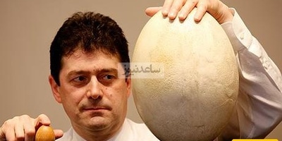 Archaeological Wonder: 1,700-Year-Old Egg Found with Intact Liquid Inside—A Miracle from the Heart of History!