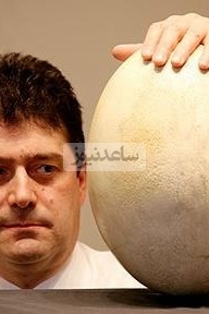 Archaeological Wonder: 1,700-Year-Old Egg Found with Intact Liquid Inside—A Miracle from the Heart of History!