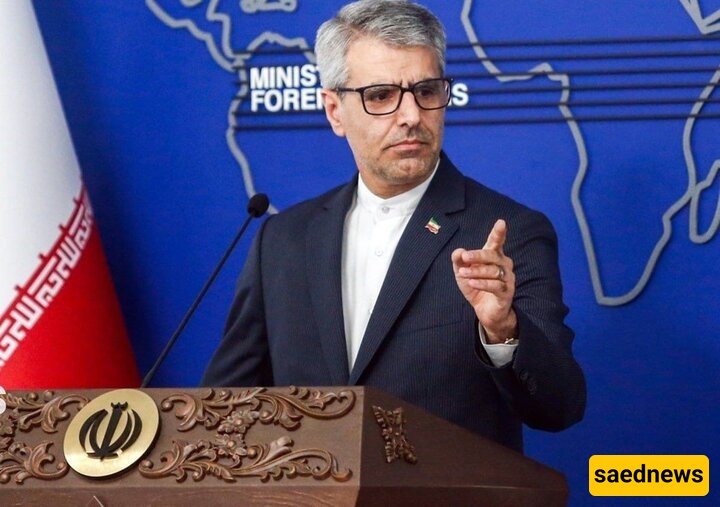Iran Hails Irish MEP for Condemning Israeli Crimes in Region