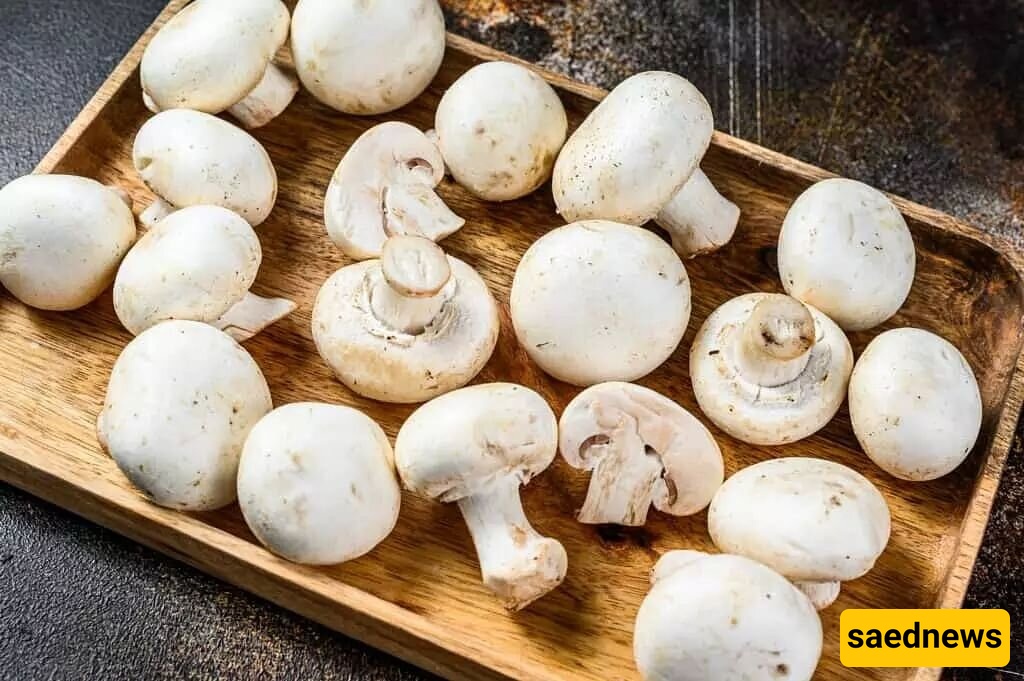 mushrooms 