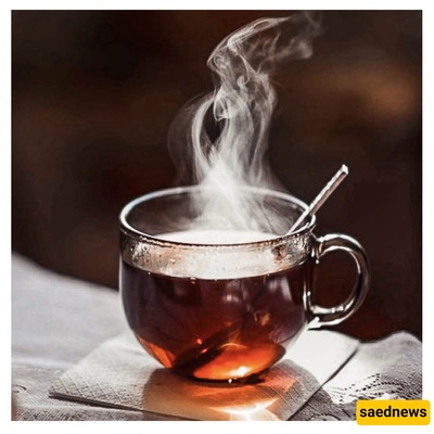 Oral and Throat Health at Risk: The Relationship Between Hot Tea and Esophageal Cancer