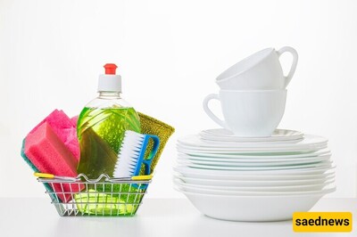 2 Affordable Methods for Cleaning a Dishwasher at Home